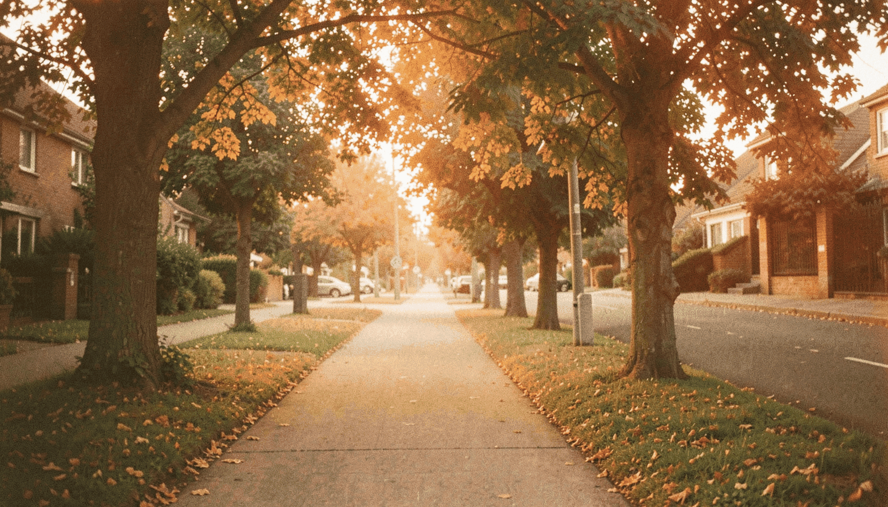 Ein leerer, von Bäumen gesäumter Gehweg entlang einer ruhigen Wohnstraße am Morgen, weiches Seitenlicht, warme erdige Farbtöne, analoge Filmfotografie mit feinem Korn.