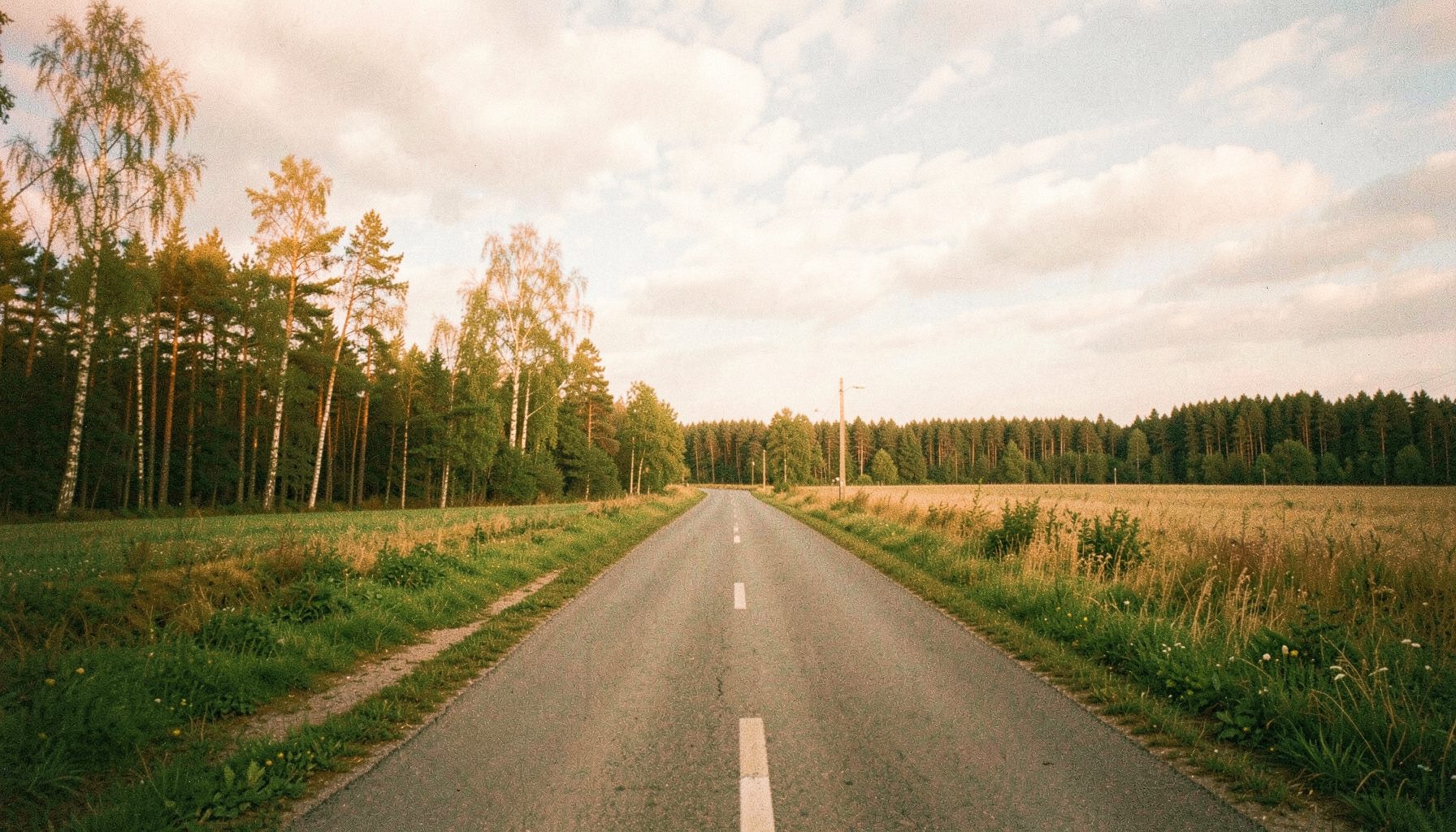 Weitwinklige Aufnahme einer ruhigen brandenburgischen Landstraße mit Radweg, umgeben von Feldern und lichten Kiefernwäldern unter einem weiten, leicht bewölkten Himmel. Sanfte grüne und goldene Farbtöne, analoge Filmfotografie mit sichtbarem Korn.