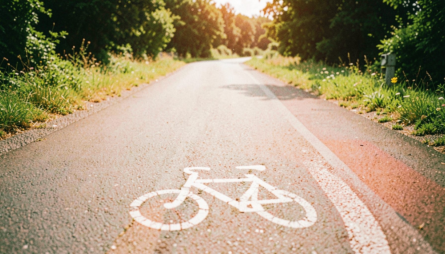 Ein markierter Radfahrstreifen auf einer asphaltierten Straße, umgeben von sommerlichem Grün, das Fahrradsymbol auf dem Boden im Vordergrund, helles Tageslicht, analoge Filmfotografie.